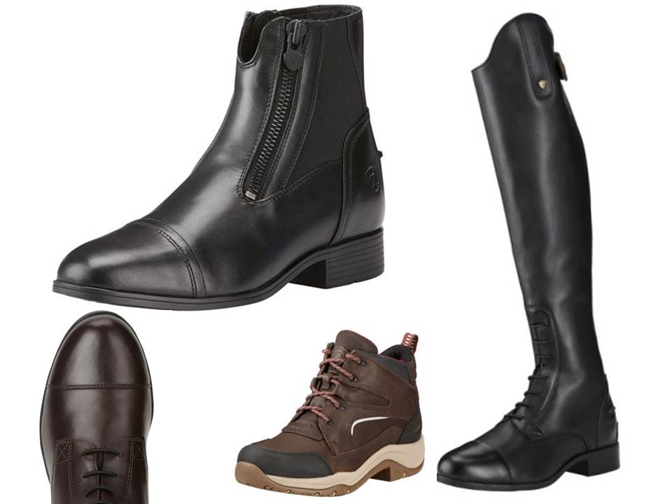 ariat bottes equitation